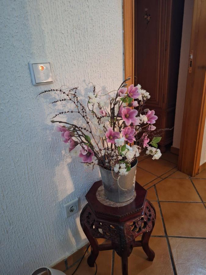 Hostal El Patio Restaurante San Bartolome de Pinares Екстер'єр фото