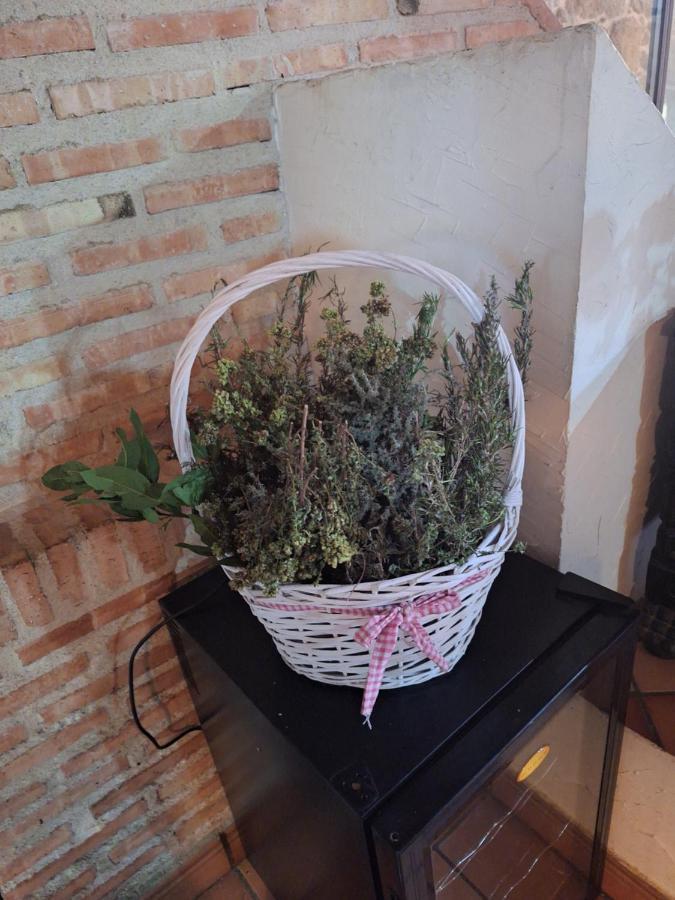 Hostal El Patio Restaurante San Bartolome de Pinares Екстер'єр фото